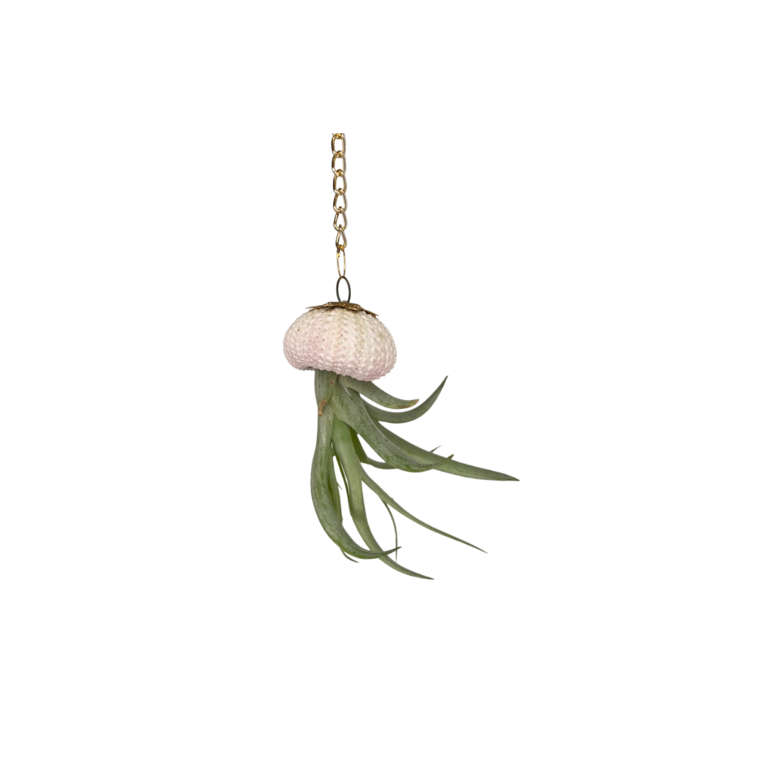 Crystal + Shell Suncatcher: ~ 12"-14"