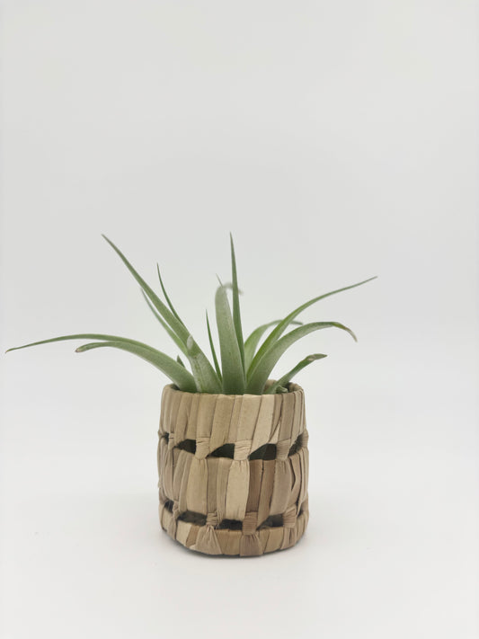 Natural Basket Holder