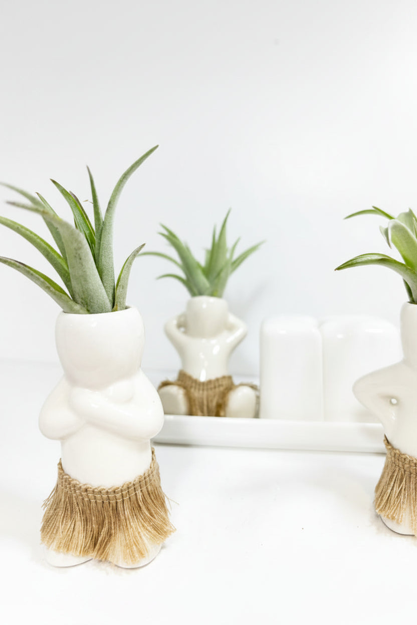 Salt + Pepper Shaker Set ~ Aloha Nui