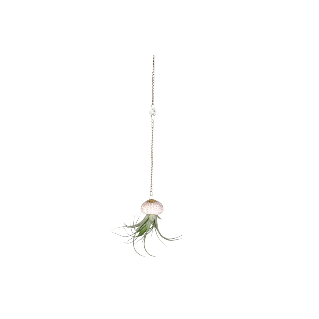 Crystal + Shell Suncatcher ~ 18"-20"