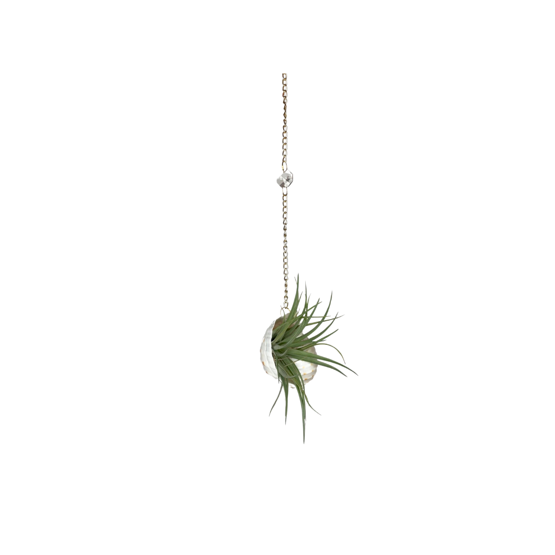 Crystal + Shell Suncatcher ~ 18"-20"