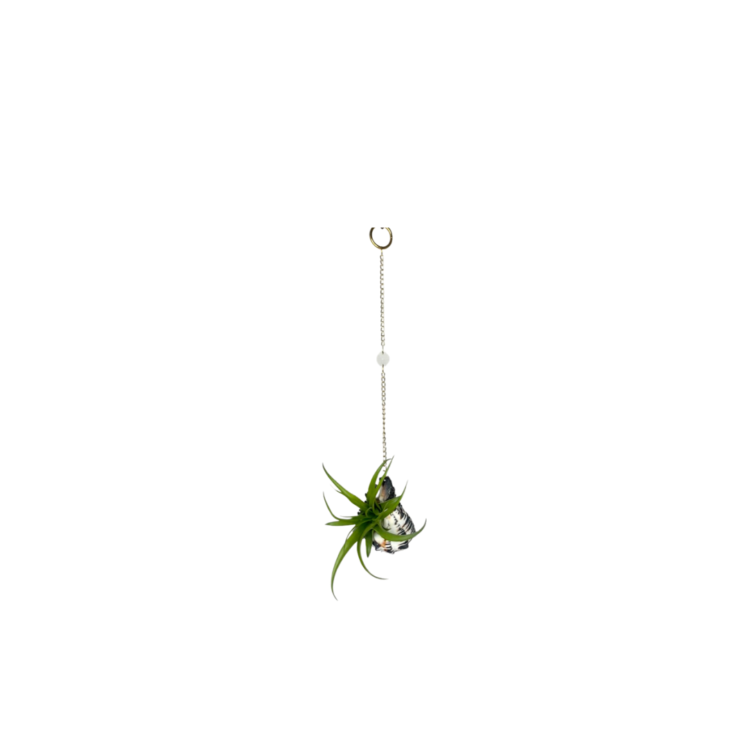 Crystal + Shell Suncatcher ~ 18"-20"