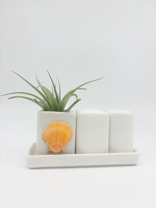 Ceramic + Shell Holder