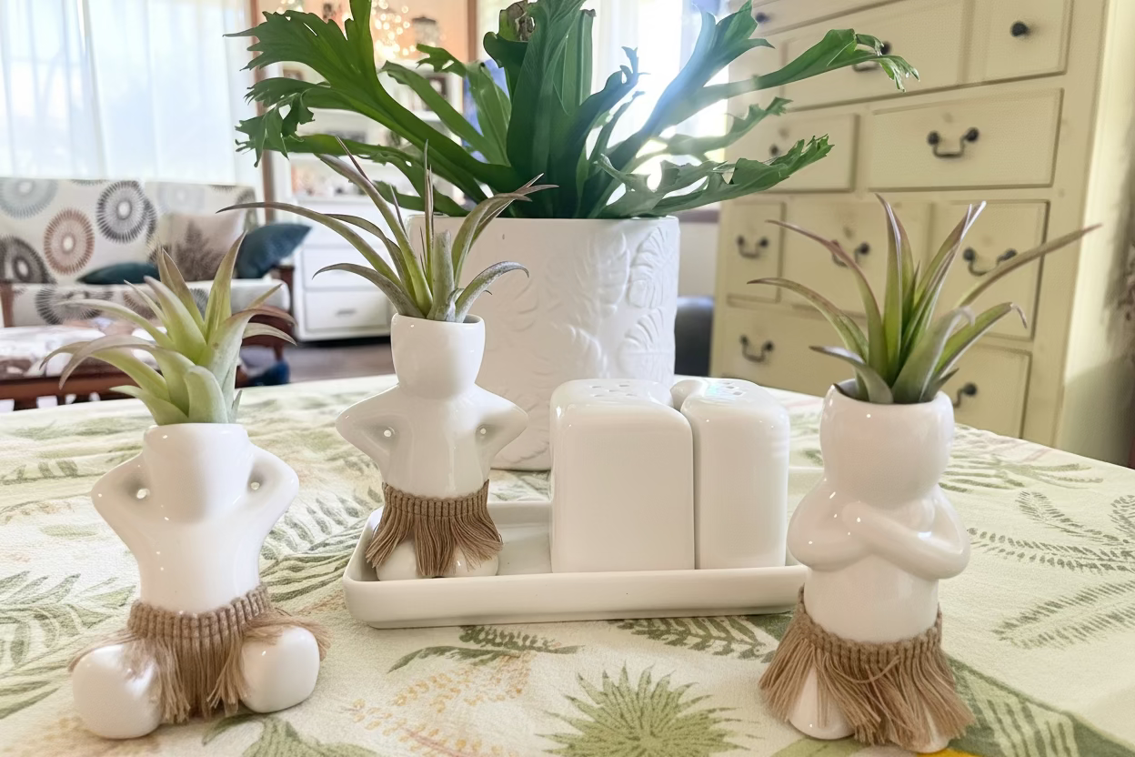 Salt + Pepper Shaker Set ~ Hula Hips