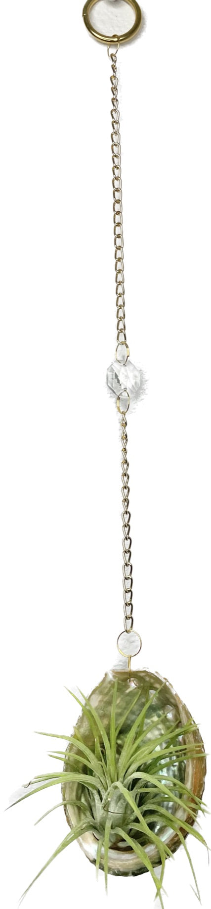 Crystal + Shell Suncatcher: ~ 12"-14"