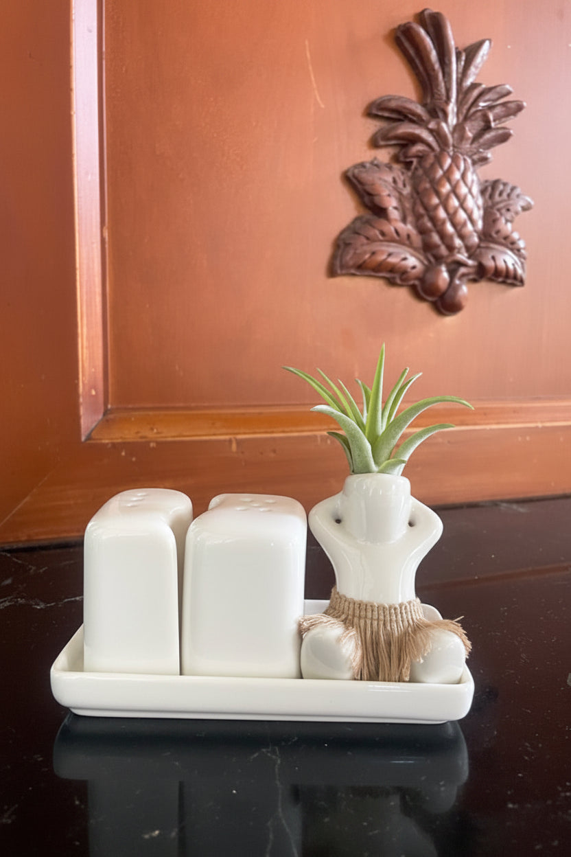 Salt + Pepper Shaker Set ~ Laid Back