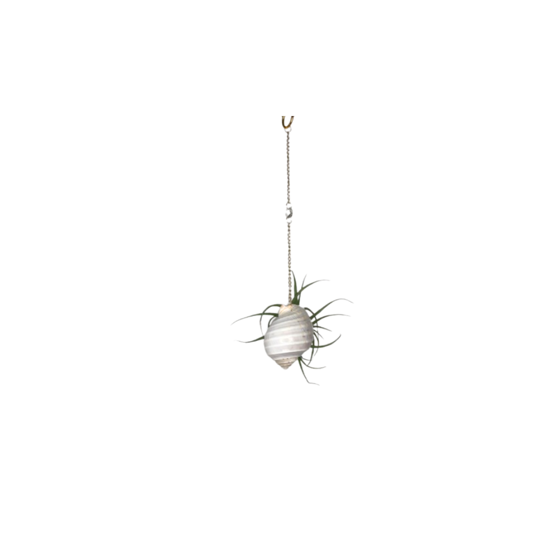 Crystal + Shell Suncatcher ~ 18"-20"