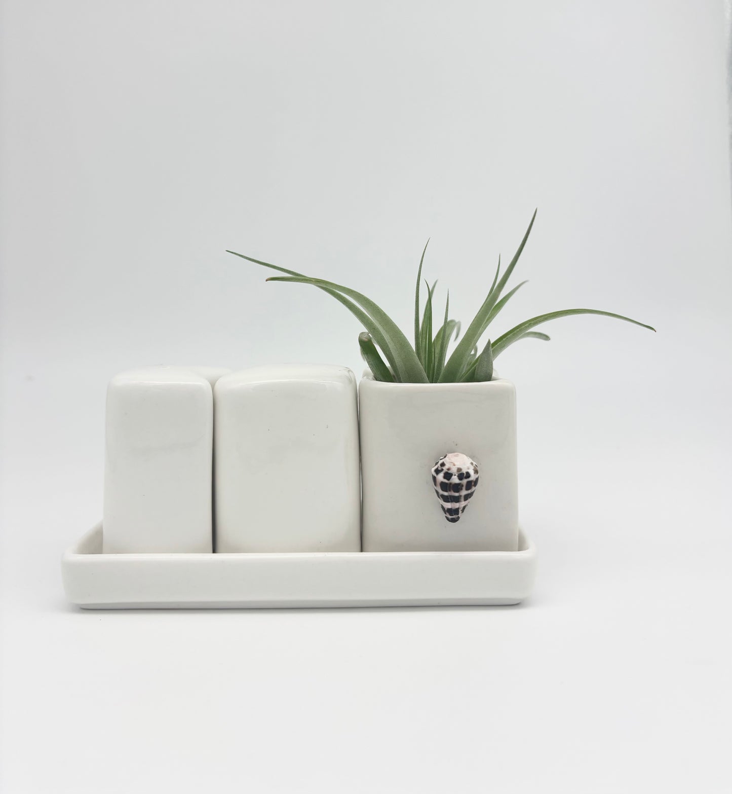 Ceramic + Shell Holder