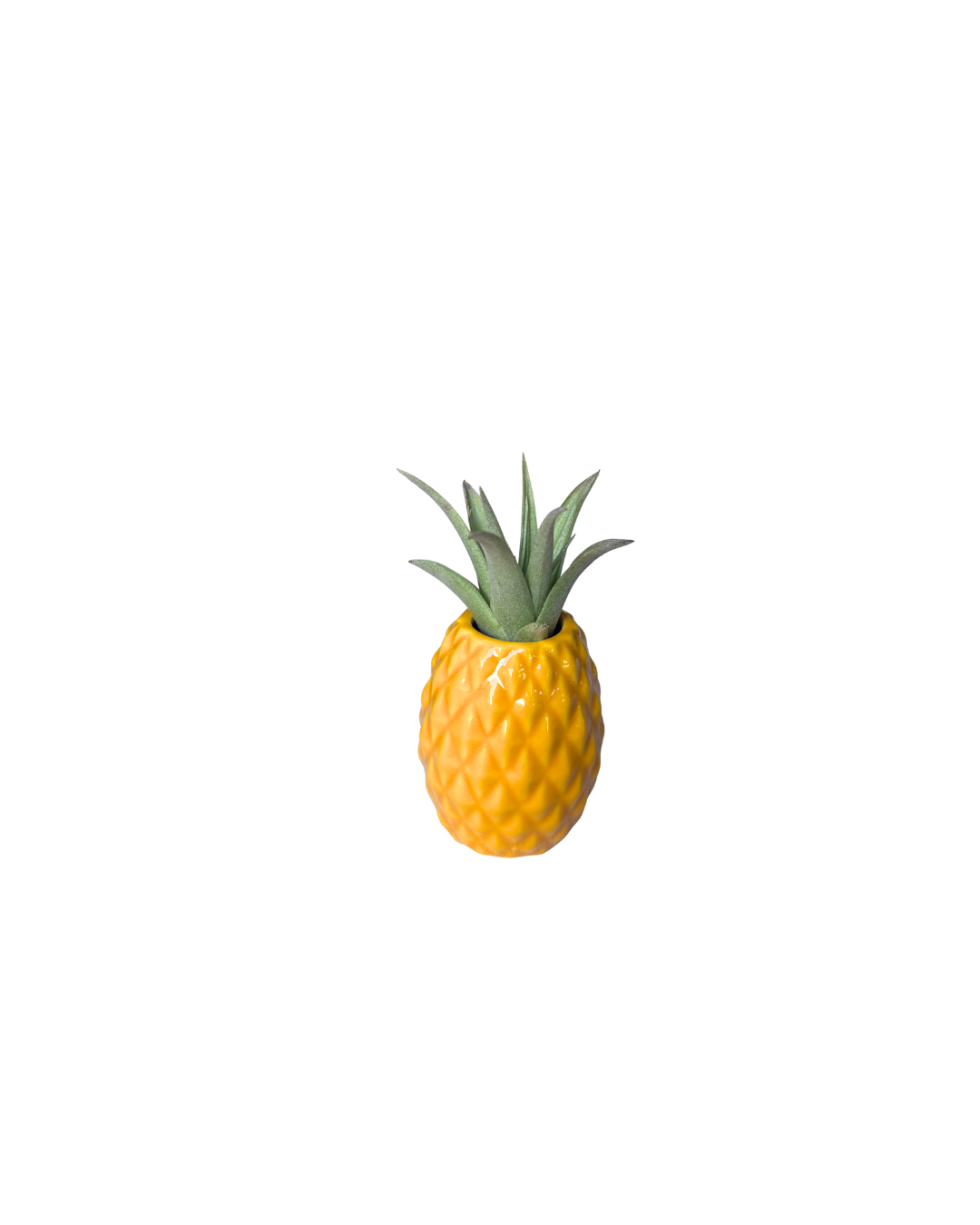 Pineapple Holder