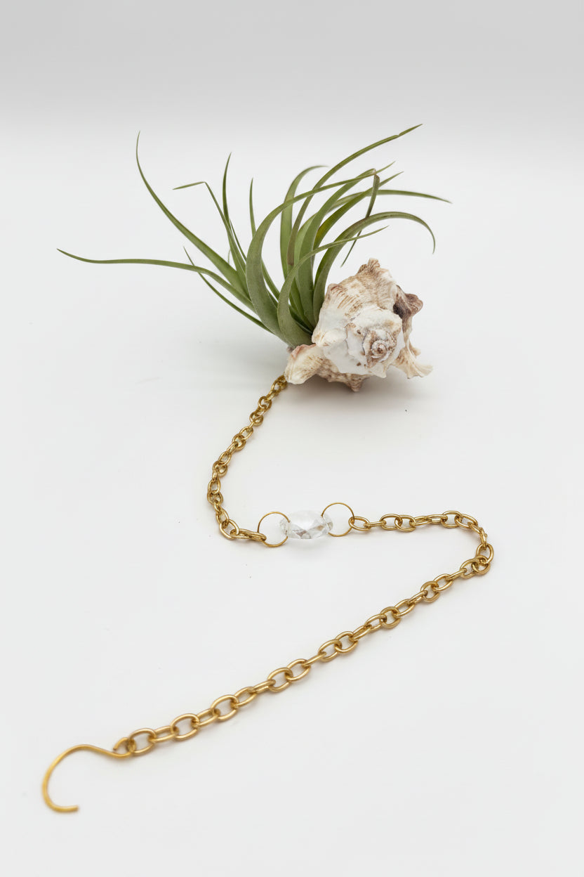 Crystal + Shell Suncatcher ~ 18"-20"