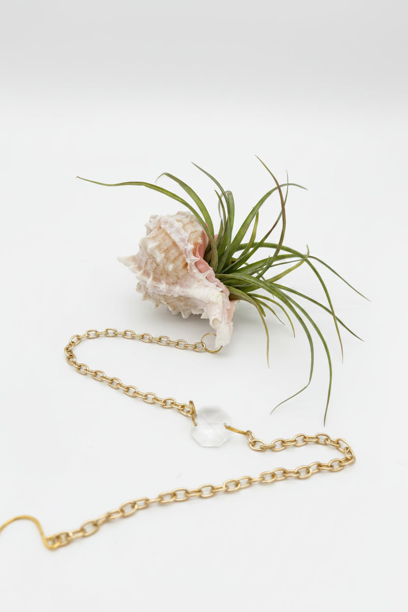 Crystal + Shell Suncatcher ~ 18"-20"