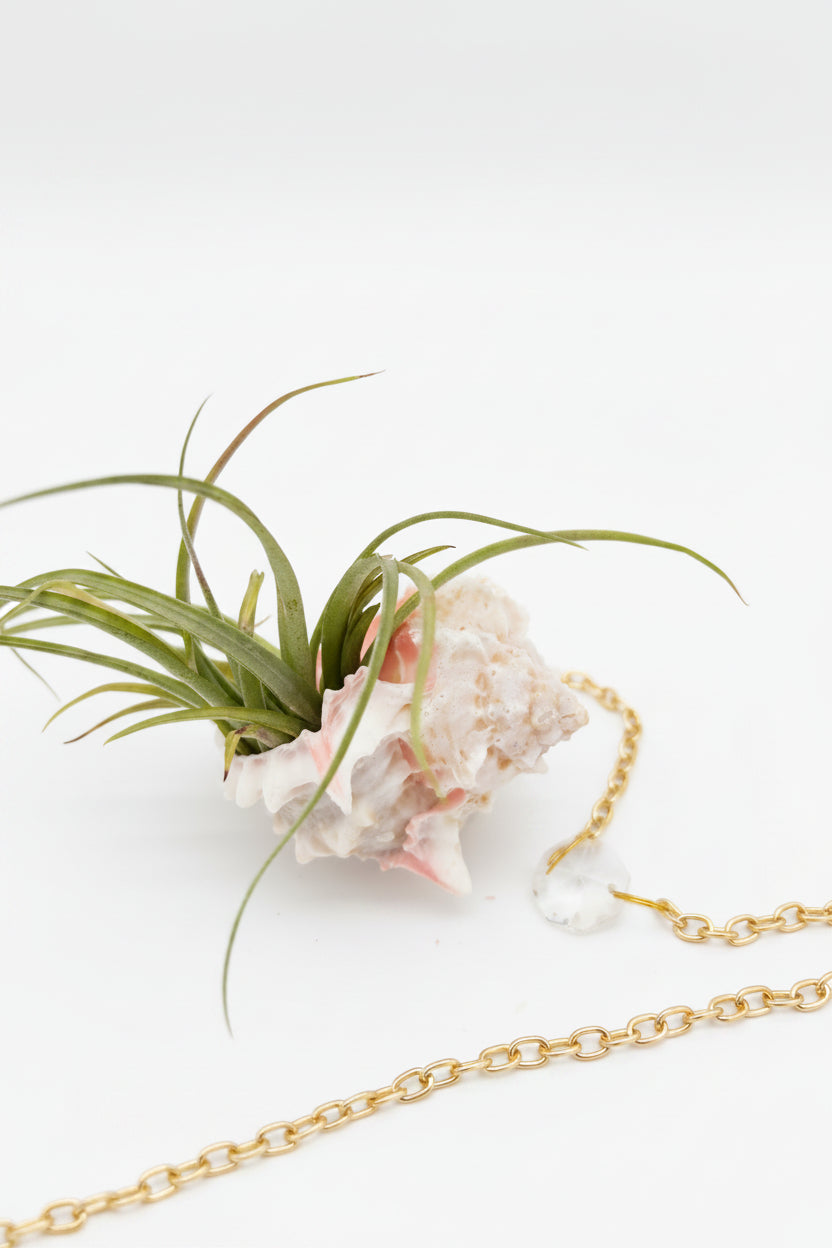 Crystal + Shell Suncatcher ~ 18"-20"
