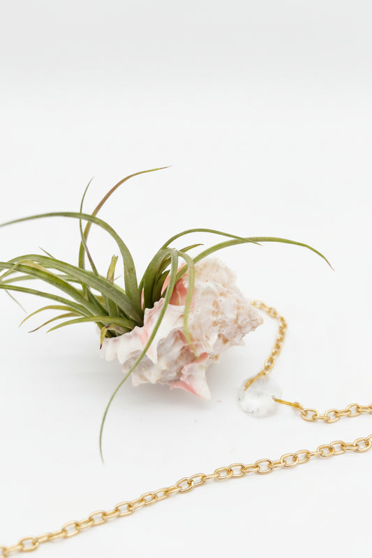 Crystal + Shell Suncatcher ~ 18"-20"