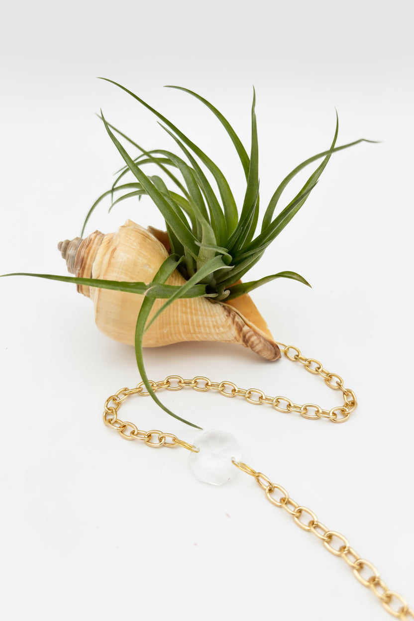 Crystal + Shell Suncatcher ~ 18"-20"