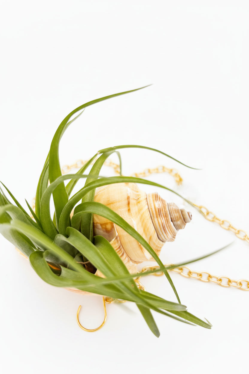 Crystal + Shell Suncatcher ~ 18"-20"