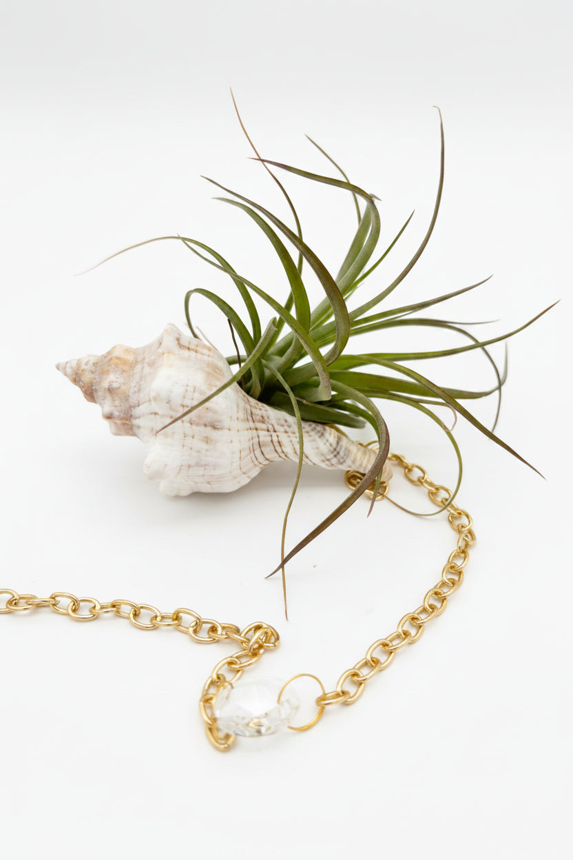 Crystal + Shell Suncatcher ~ 18"-20"