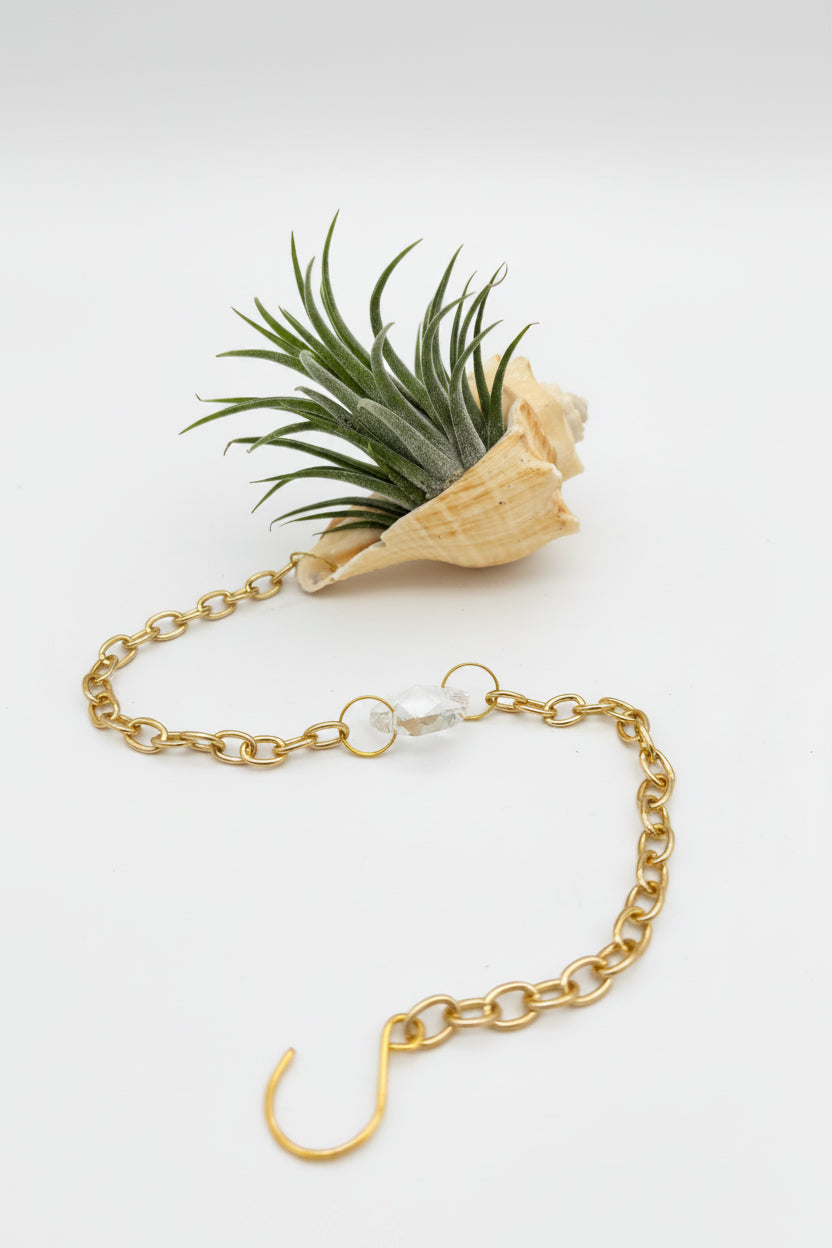 Crystal + Shell Suncatcher: ~ 12"-14"