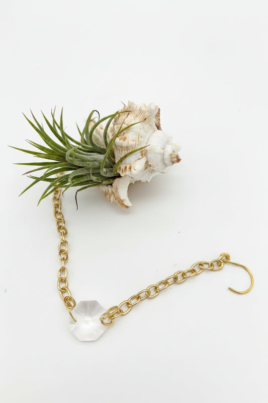Crystal + Shell Suncatcher: ~ 12"-14"