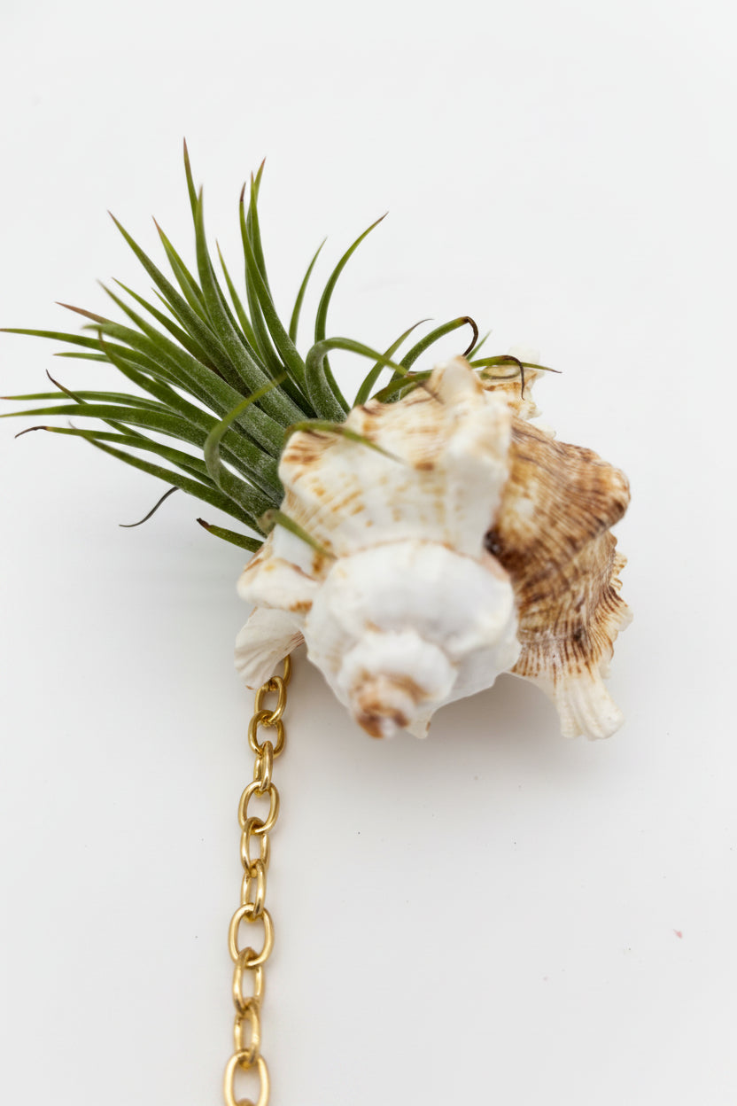 Crystal + Shell Suncatcher: ~ 12"-14"