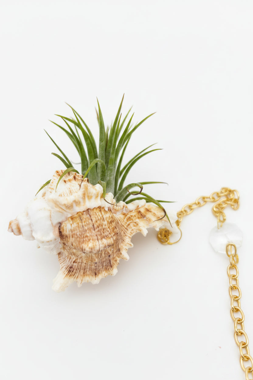 Crystal + Shell Suncatcher: ~ 12"-14"