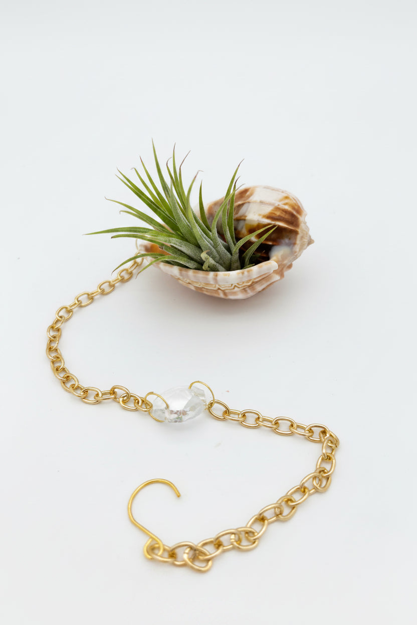 Crystal + Shell Suncatcher: ~ 12"-14"