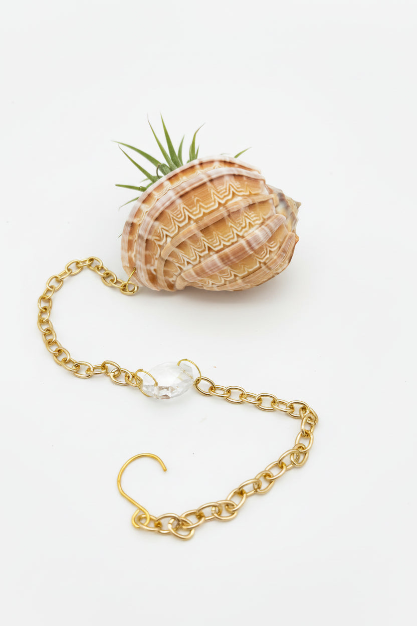 Crystal + Shell Suncatcher: ~ 12"-14"