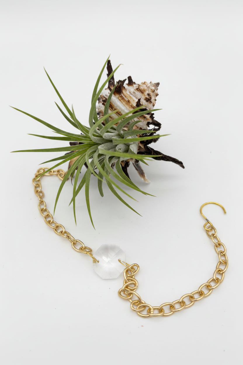 Crystal + Shell Suncatcher: ~ 12"-14"