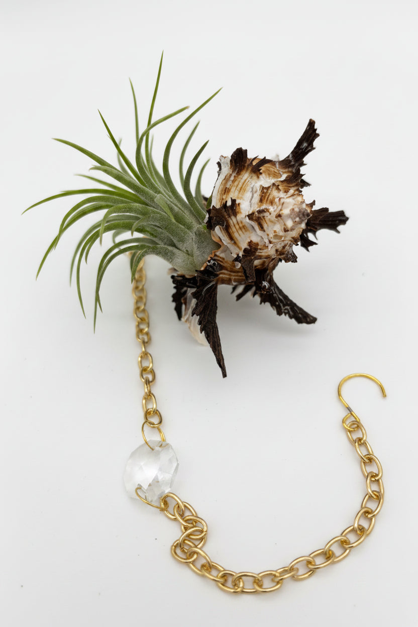 Crystal + Shell Suncatcher: ~ 12"-14"