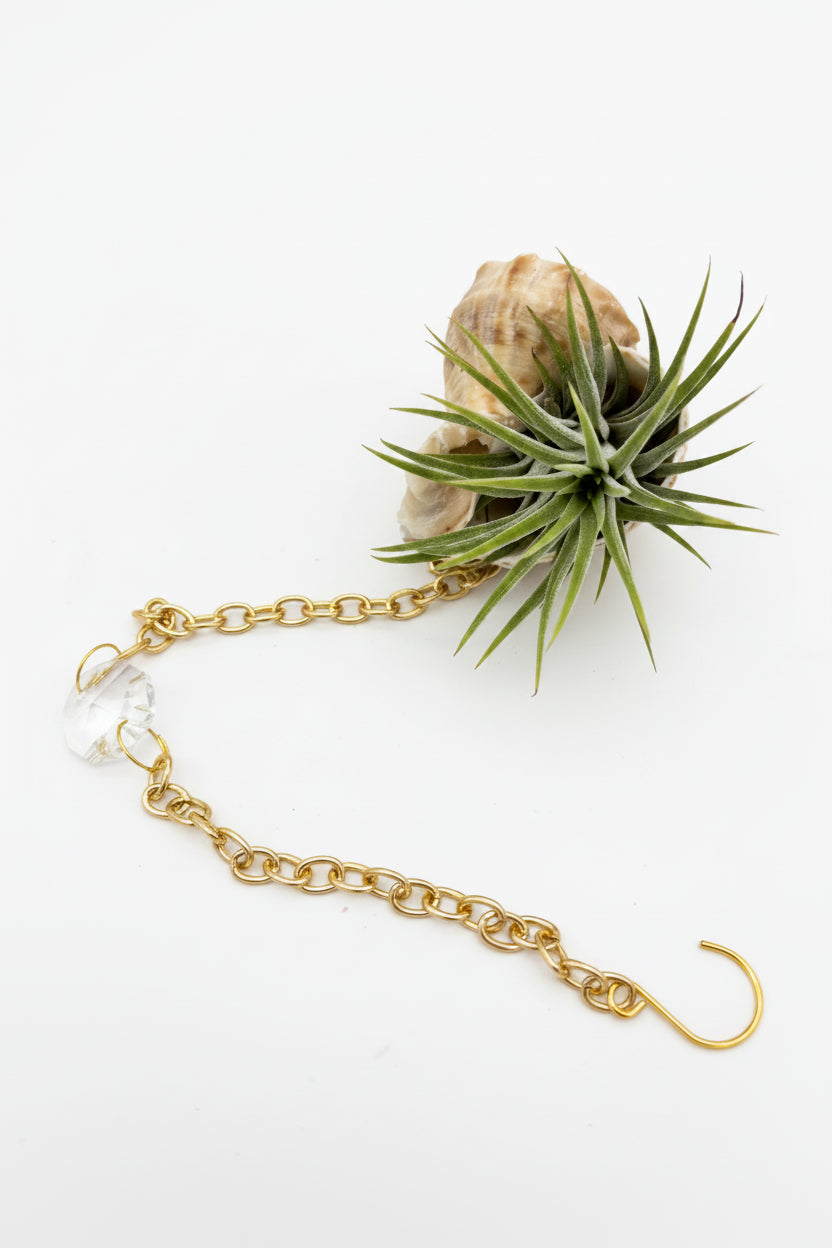 Crystal + Shell Suncatcher: ~ 12"-14"