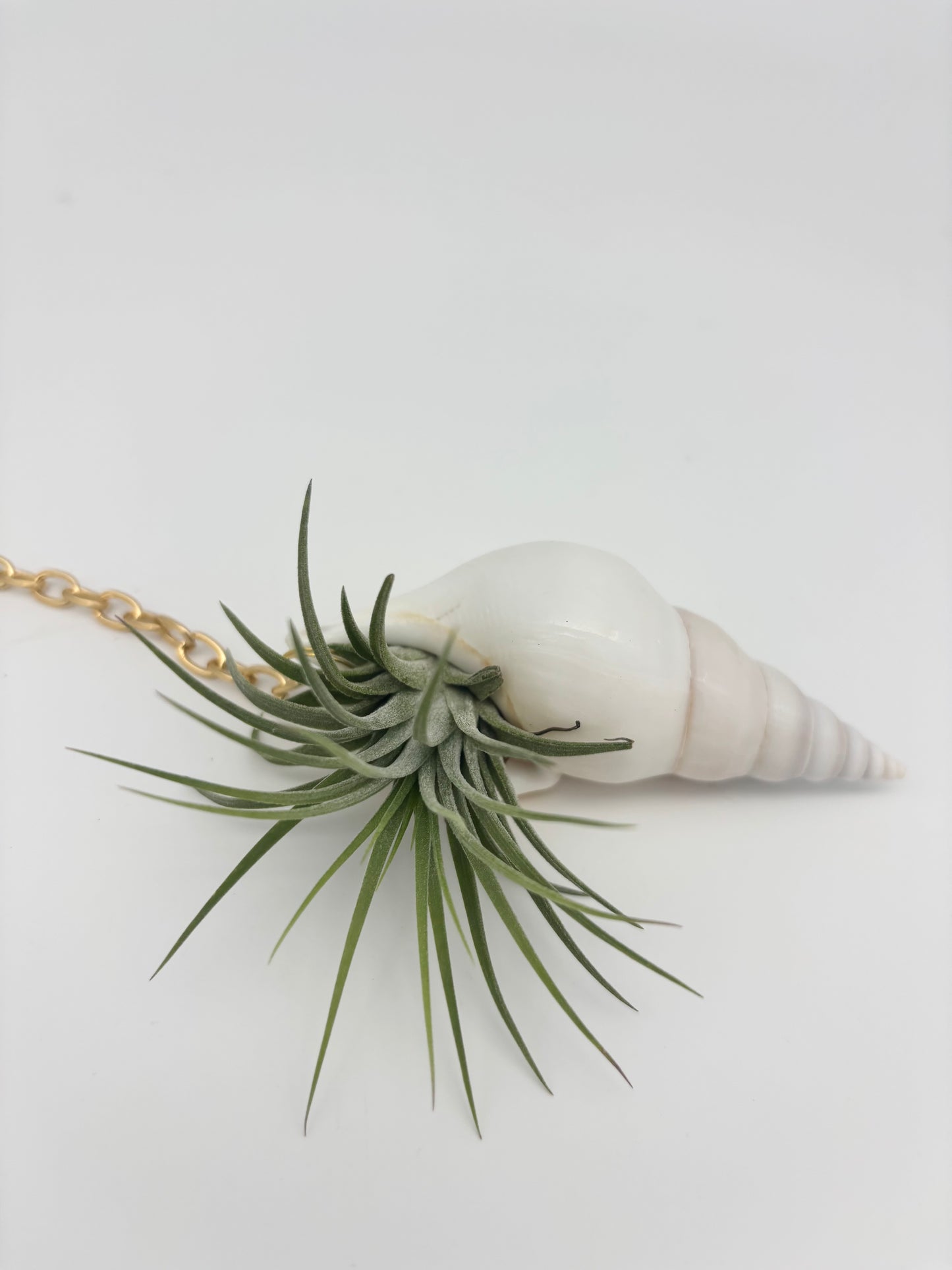 Crystal + Shell Suncatcher: ~ 12"-14"