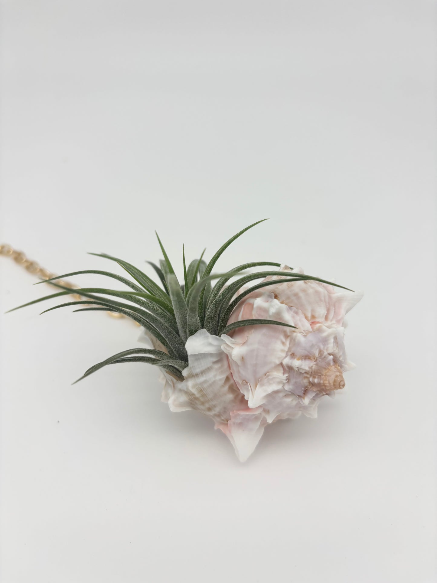 Crystal + Shell Suncatcher: ~ 12"-14"