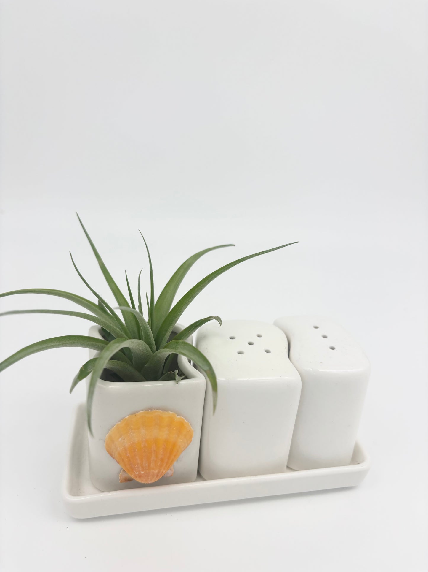 Ceramic + Shell Holder