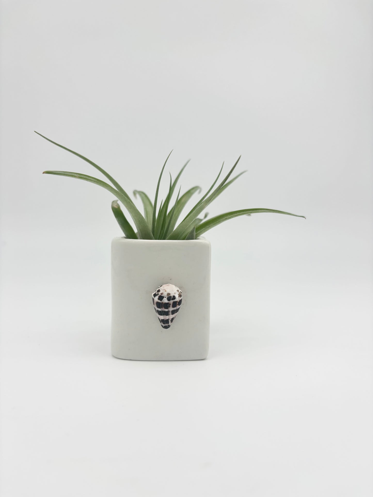 Ceramic + Shell Holder