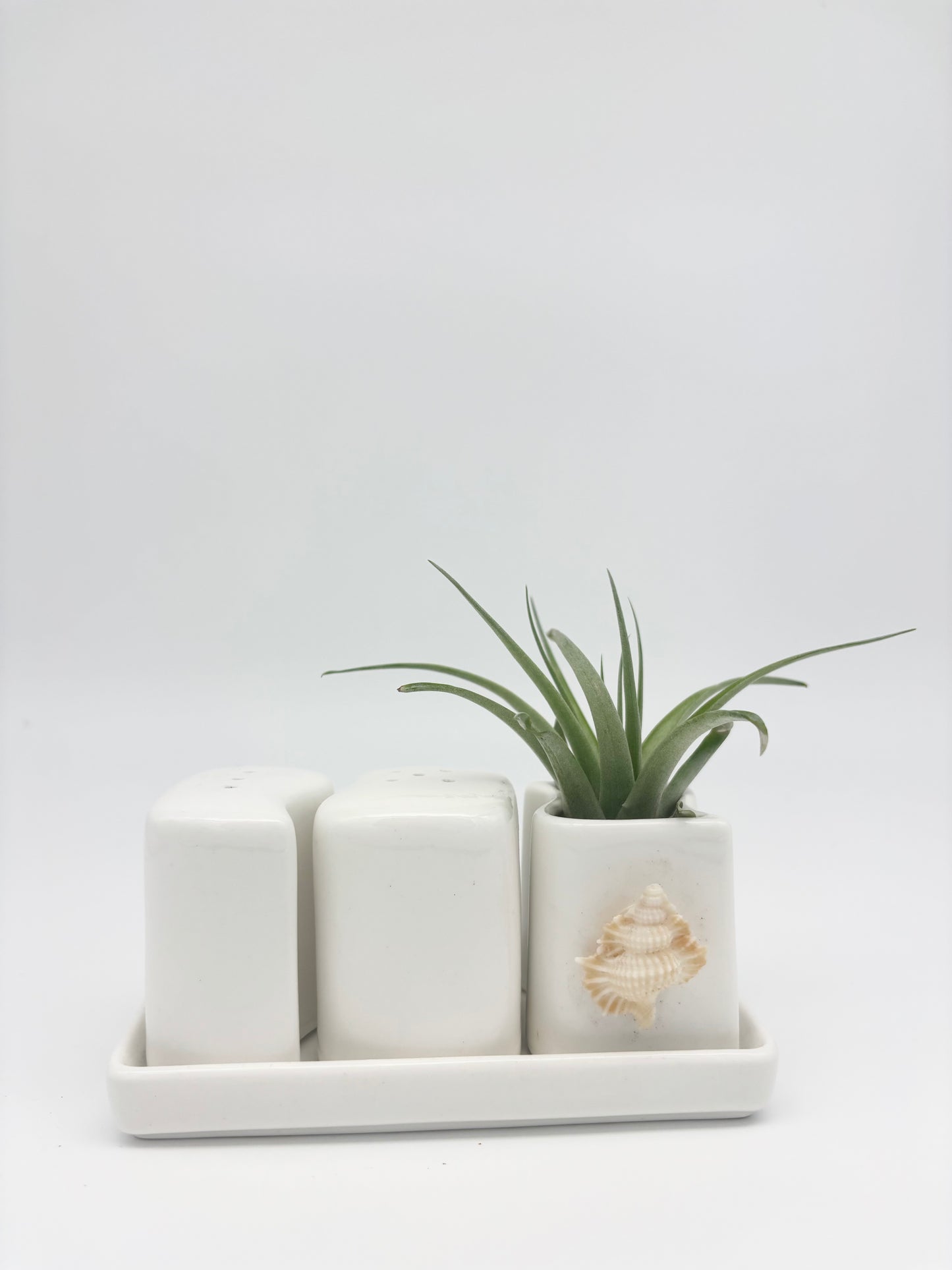 Ceramic + Shell Holder