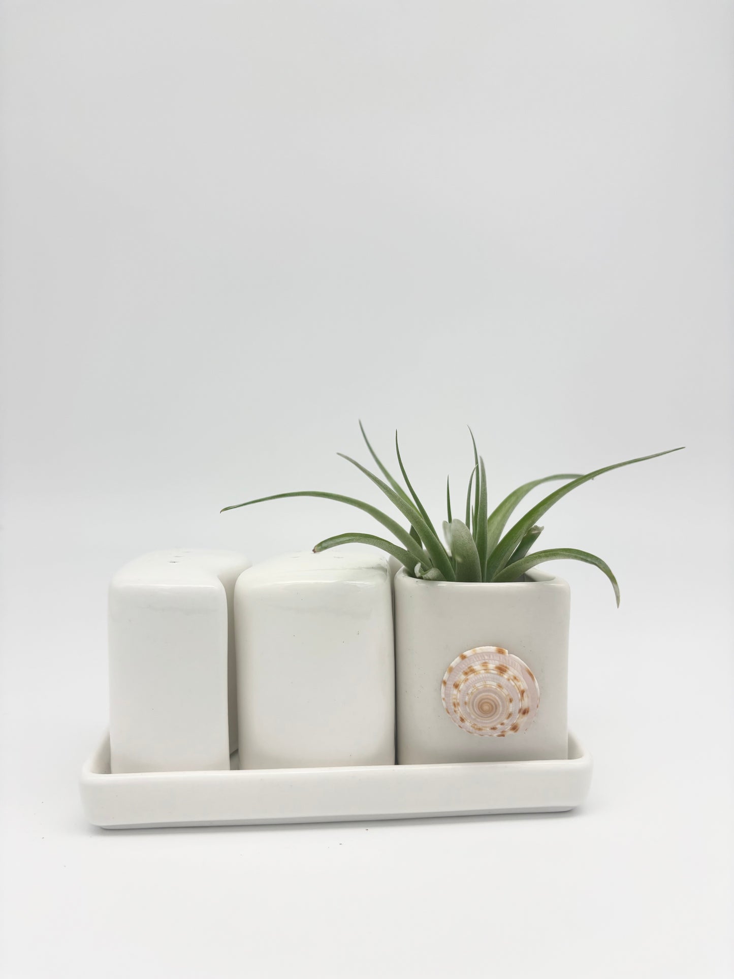 Ceramic + Shell Holder