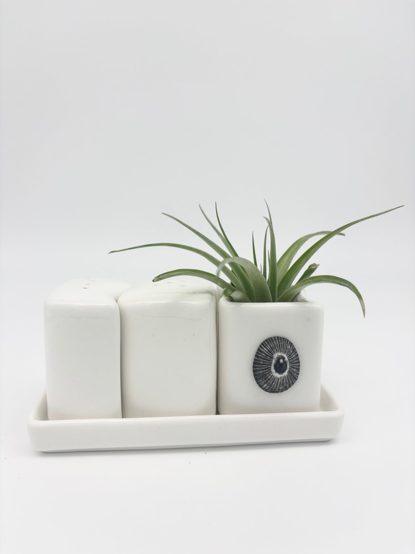 Ceramic + Shell Holder