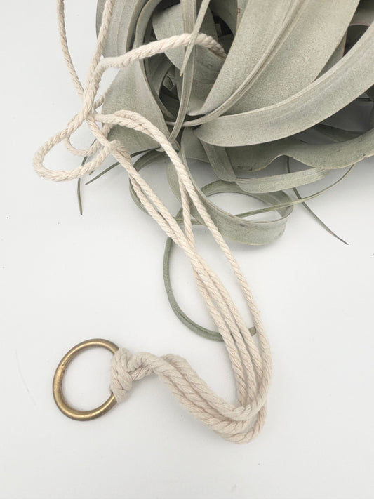 Xerographica w/ Macrame Hanger