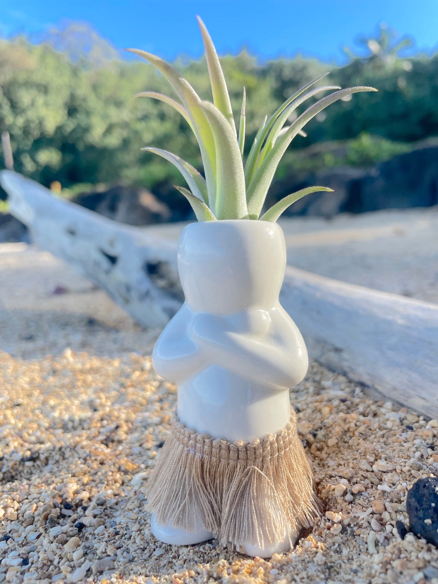 Salt + Pepper Shaker Set ~ Aloha Nui