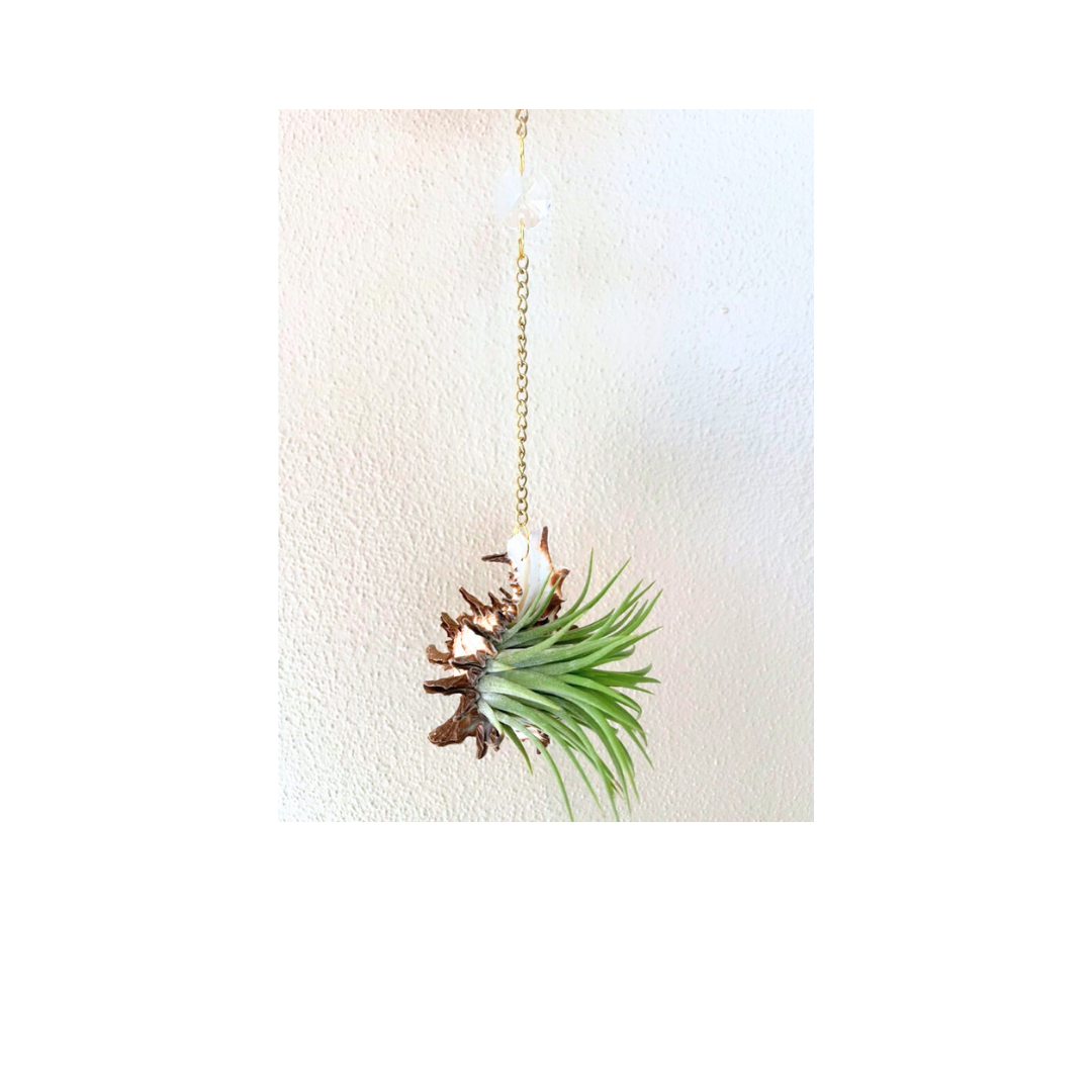 Crystal + Shell Suncatcher: ~ 12"-14"